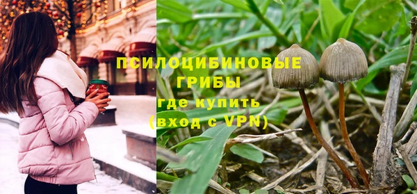 бошки Алексин