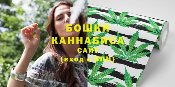бошки Алексин