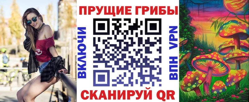 OMG ТОР  Богучар  Псилоцибиновые грибы MAGIC MUSHROOMS 