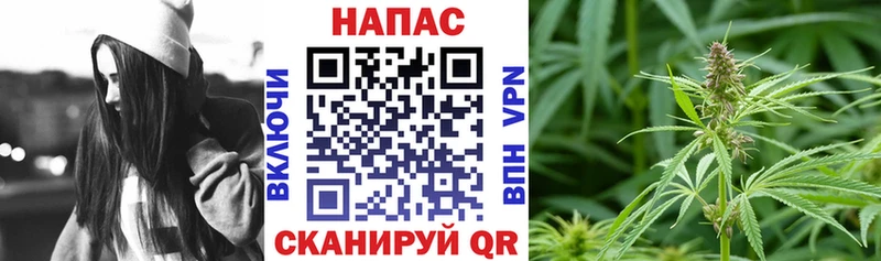 Марихуана план Богучар